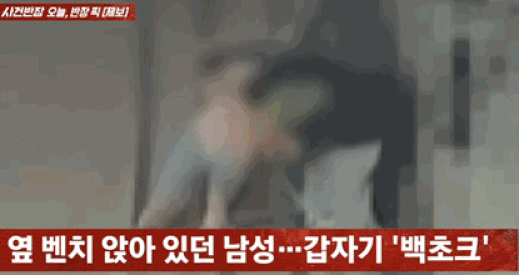 공원에 앉아있는데 일면식 없는 시민이 묻지마 '백초크'…2명이 당했다[영상]