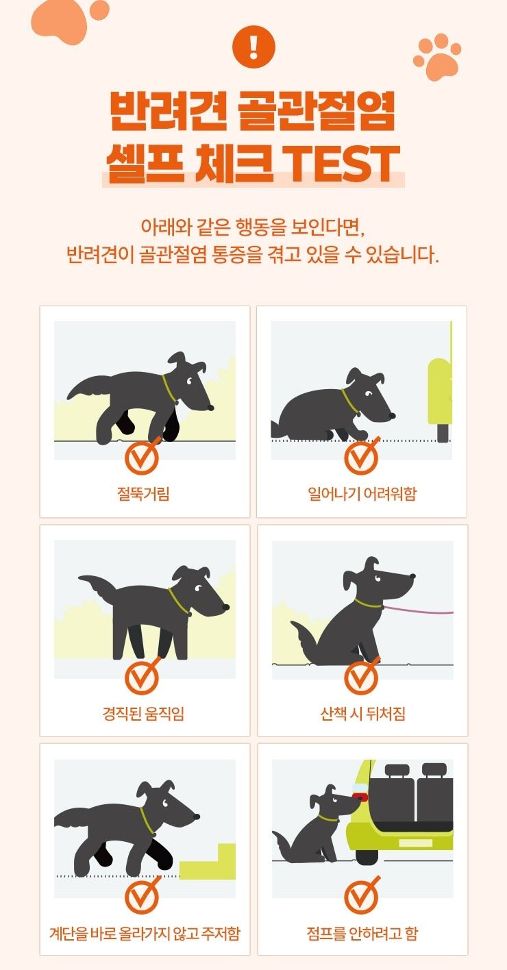 본문 이미지 - 반려견 골관절염 셀프 체크 테스트 항목(업체 제공) ⓒ 뉴스1