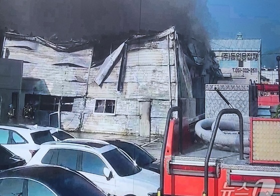 부산 강서구 식품공장서 불…2시간 35분 만에 진화