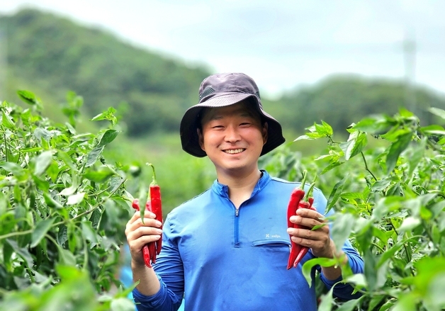 괴산청결고추 품평회 대상에 장연면 이상규 농가