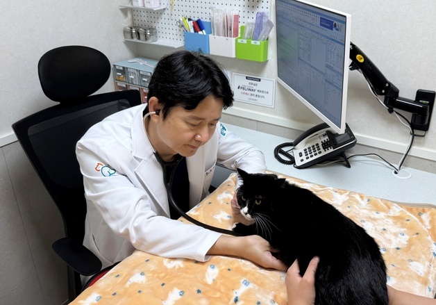 연수동물메디컬센터, 고양이 전용 진료공간 신설…ISFM 인증 받아