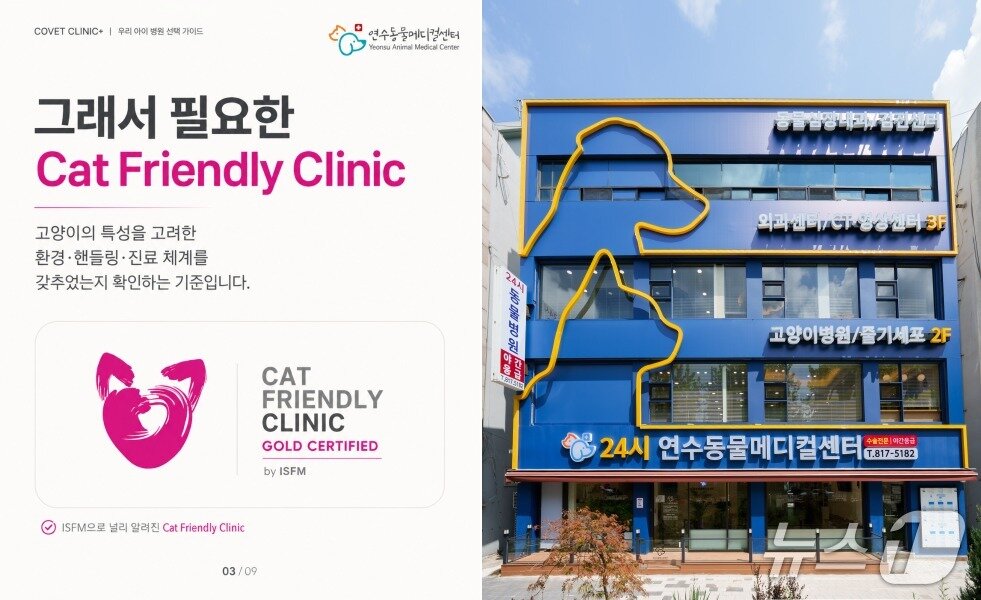 본문 이미지 - 고양이 친화 병원 ISFM 인증을 받은 연수동물메디컬센터(동물병원 제공) ⓒ 뉴스1