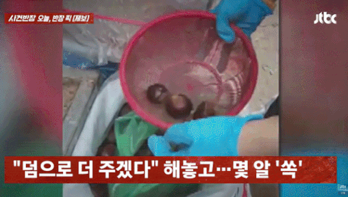 "고니도 울고 갈 밑장빼기"…소쿠리 속 밤 6개 빼낸 '재래시장 상인'[영상]