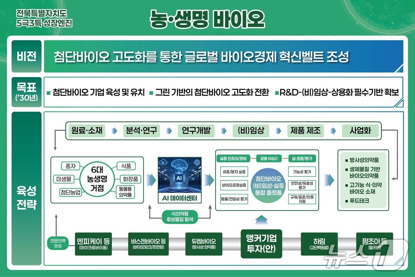 본문 이미지 - 전북도 성장엔진 선정안 중 농생명 바이오 계획안.(전북도 제공. 재판매 및 DB금지)/뉴스1   