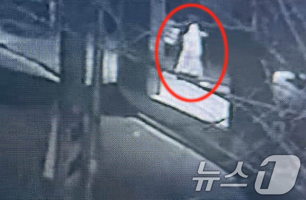 본문 이미지 - 지난 20일 오전 2시쯤 20대 중국인 유학생이 경북 경산시 하양읍 A 씨의 주거지로 들어가는 모습이 인근 건물 폐쇄회로(CC)TV에 찍혔다. (독자 제공. 재판매 및 DB 금지) 2026.8.26 ⓒ 뉴스1 공정식 기자