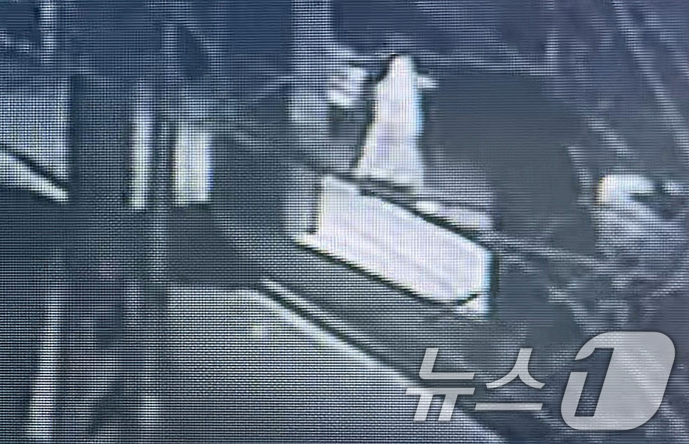 (경산=뉴스1) 공정식 기자 = 지난 20일 오전 2시쯤 20대 중국인 유학생이 경북 경산시 하양읍 A 씨의 주거지로 들어가는 모습이 인근 건물 폐쇄회로(CC)TV에 찍혔다. (독 …