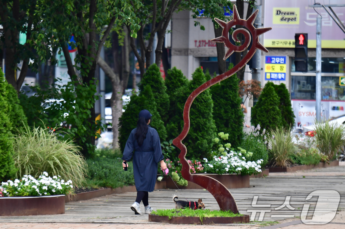 (포항=뉴스1) 최창호 기자 = 27일 오전 경북포항시 남구 포항시청 앞 광장에서 한 시민이 반려견과 산책하고 있다. 2026.8.27/뉴스1