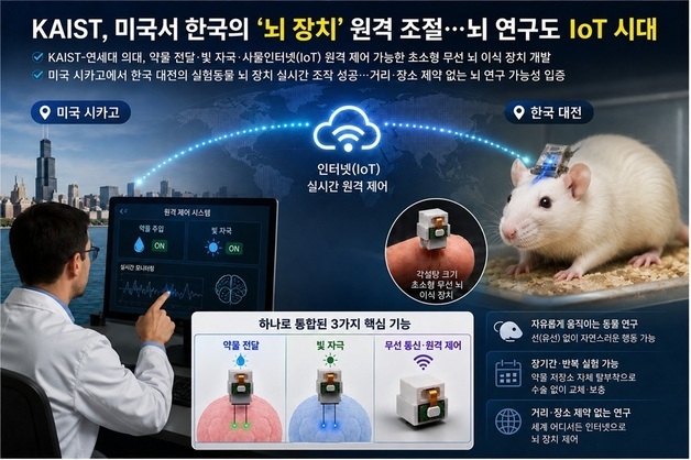 뇌 연구도 IoT로 척척…미국에서 한국 뇌 장치 실시간 조작