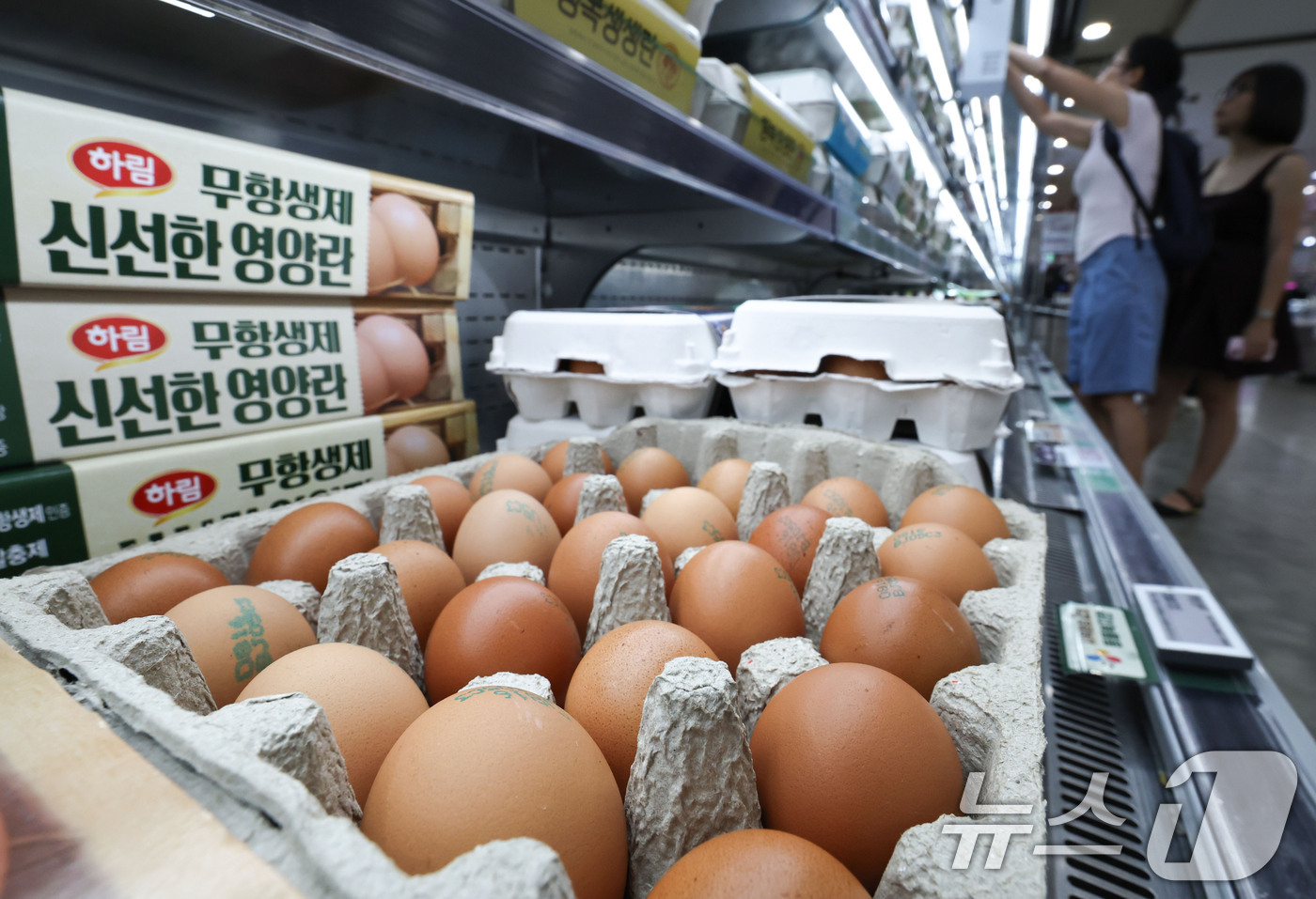 (서울=뉴스1) 이종수 기자 = 계란 생산량 증가로 가격이 안정될 것이란 전망이 나오고 있지만 소비자 가격은 여전히 높은 수준을 보이고 있다. 27일 축산물품질평가원에 따르면 올해 …