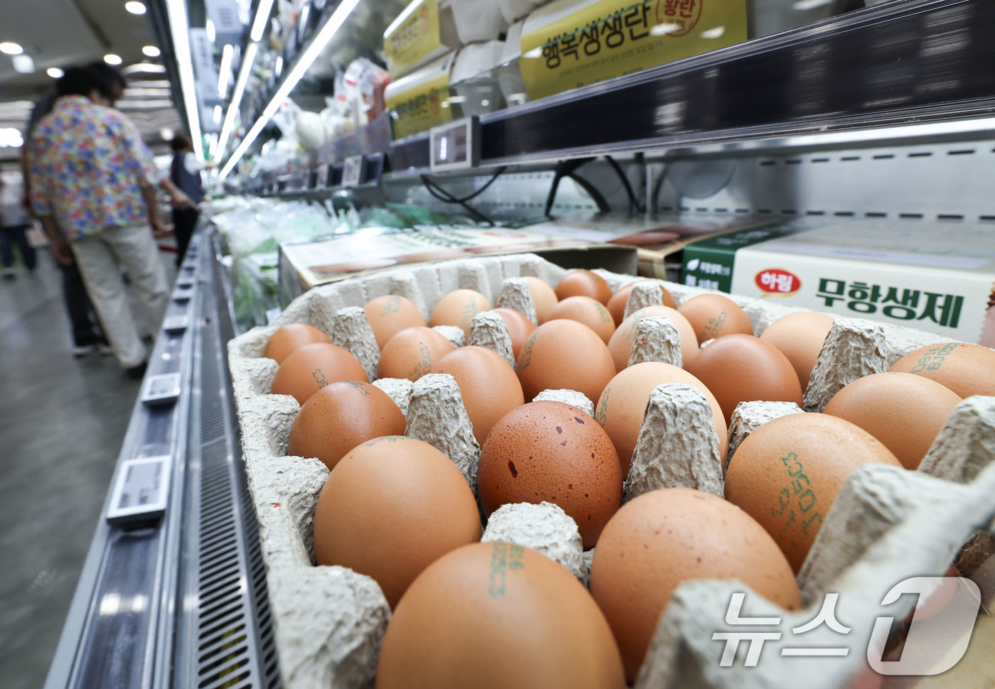 (서울=뉴스1) 이종수 기자 = 계란 생산량 증가로 가격이 안정될 것이란 전망이 나오고 있지만 소비자 가격은 여전히 높은 수준을 보이고 있다. 27일 축산물품질평가원에 따르면 올해 …
