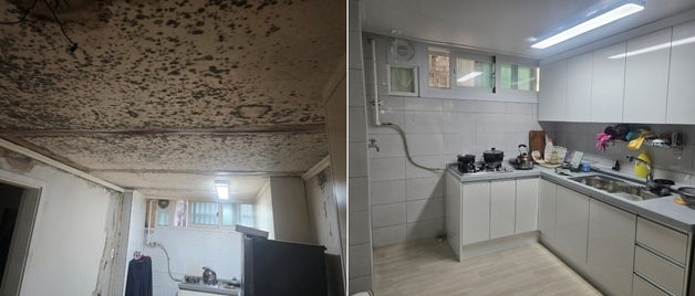 "곰팡이 핀 지하방이 새집처럼"…성북구, 해비타트와 홀몸 어르신 집수리