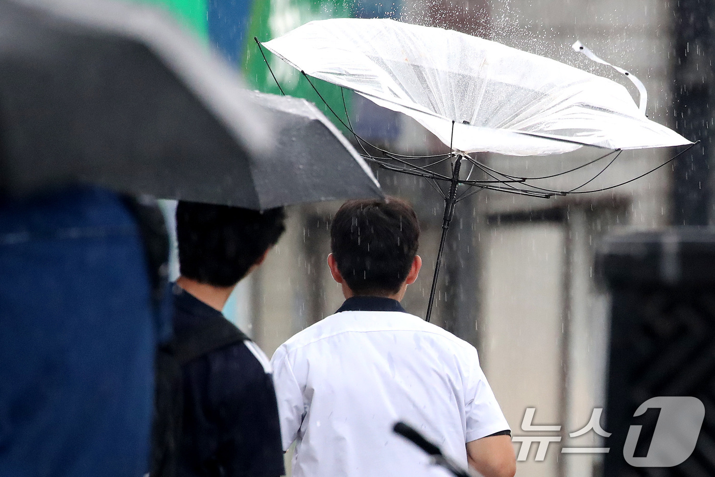 (대구=뉴스1) 공정식 기자 = 27일 오후 대구 수성구 달구벌대로 담티고개 인근에 천둥번개를 동반한 비가 내리자 하굣길 한 학생이 뒤집힌 우산으로 비를 피하며 발걸음을 재촉하고 …