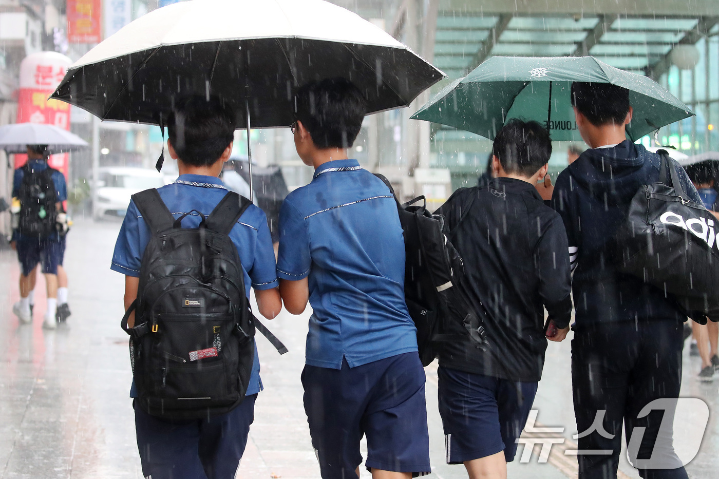 (대구=뉴스1) 공정식 기자 = 27일 오후 대구 수성구 달구벌대로 담티고개 인근에 천둥번개를 동반한 비가 내리자 하굣길 학생들이 우산으로 비를 피하며 발걸음을 재촉하고 있다. 2 …