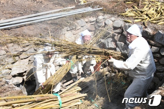 '평창방림삼베민속 공개 행사' 31일 천제당유원지서 개최