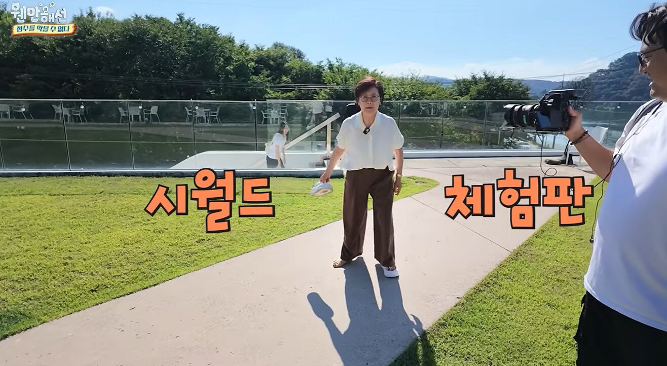 본문 이미지 - 유튜브 '웬만해선 정수를 막을 수 없다' 영상 갈무리