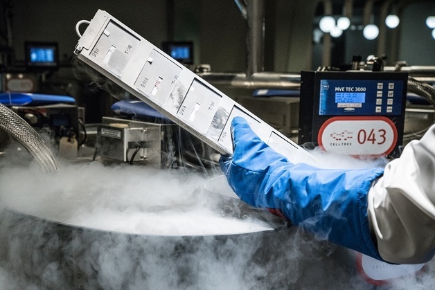 Unlocking the Future: Why 340,000 Families Trust Celltrion's Cord Blood Banking in 2026