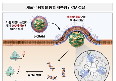 용량·지속시간 개선한 RNA 치료제 전달 원천기술 개발