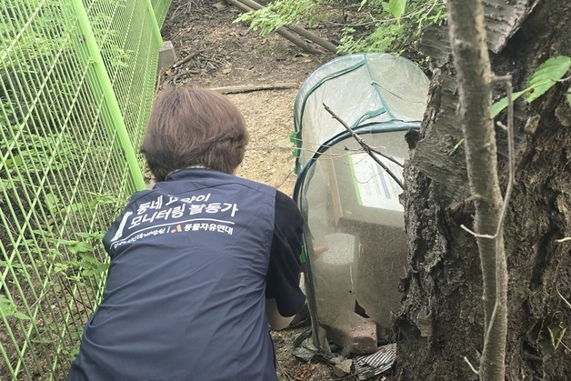 어르신이 동네고양이 살핀 5개월…2380건 모니터링 '성과'