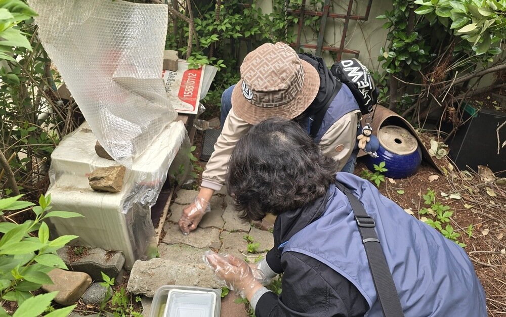 본문 이미지 - 동네고양이 모니터링 사업 활동가들이 급식소 환경 관리를 하고 있다(한국노인인력개발원 제공). ⓒ 뉴스1