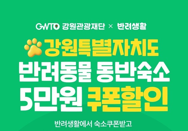 "반려견과 가을 여행 오세요"…강원도, 숙박비 5만원 파격 할인