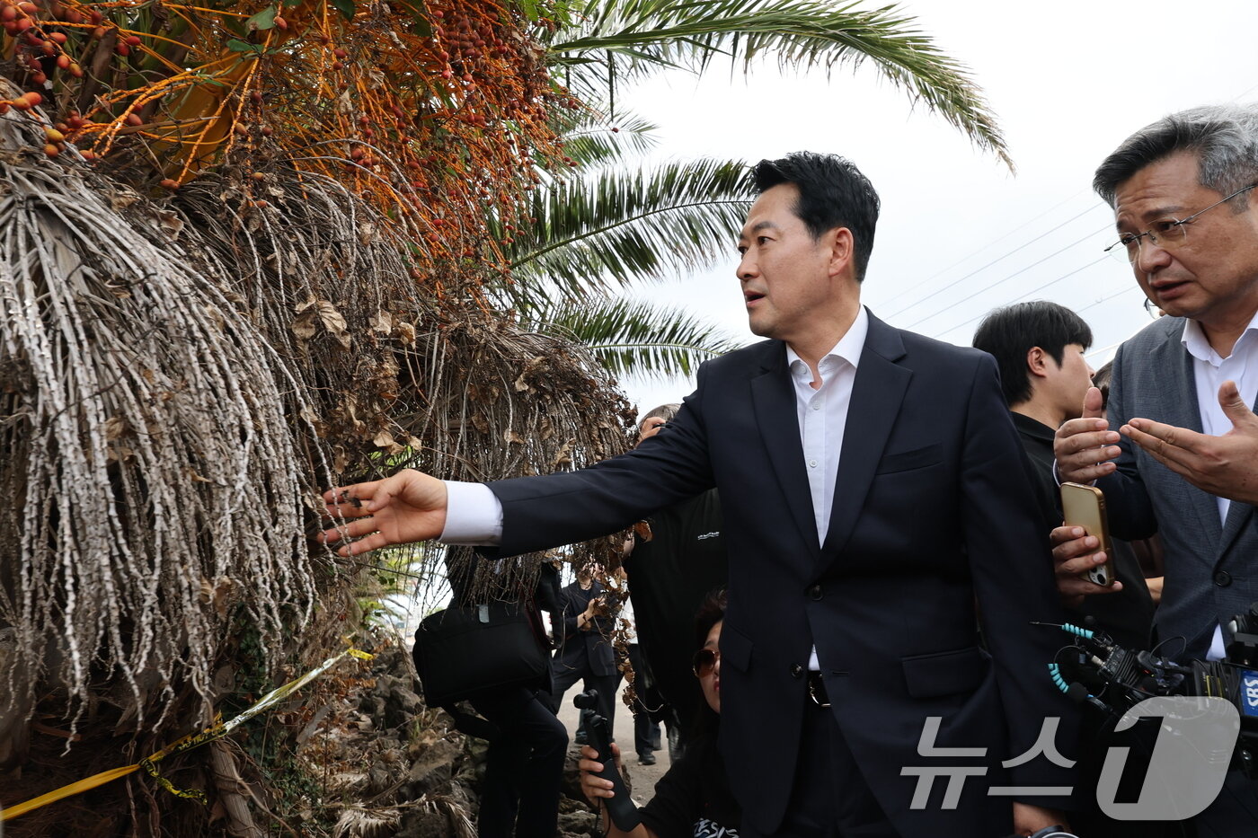 본문 이미지 - 장동혁 국민의힘 대표가 28일 제주시 한림읍을 찾아 실종신고 허위 종결 사건 피해자 장 모씨의 시신이 발견된 야자수숲 현장을 살펴보고 있다. 2026.8.28 ⓒ 뉴스1 안은나 기자
