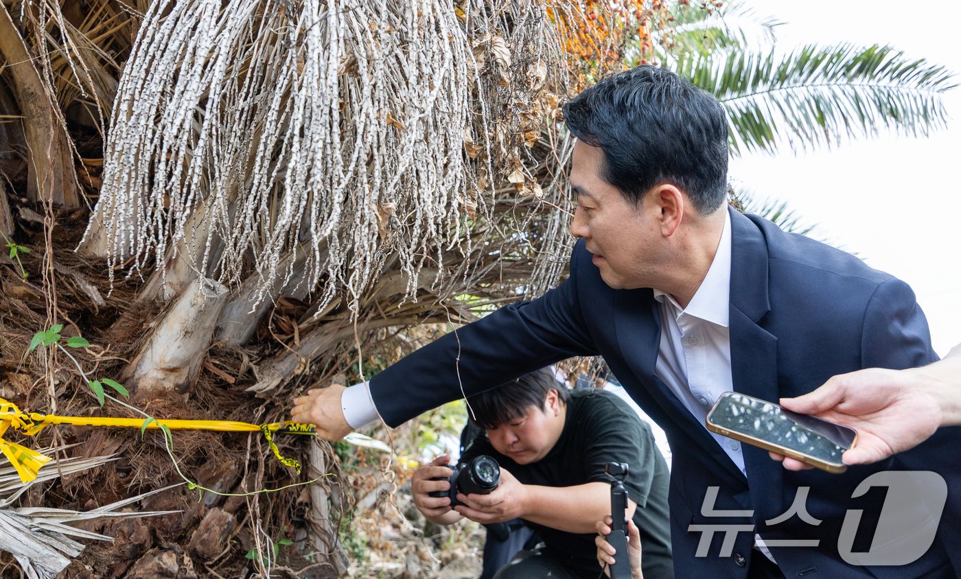 (제주=뉴스1) 안은나 기자 = 장동혁 국민의힘 대표가 28일 제주시 한림읍을 찾아 실종신고 허위 종결 사건 피해자 장 모씨의 시신이 발견된 야자수숲 현장을 살펴보고 있다. 202 …