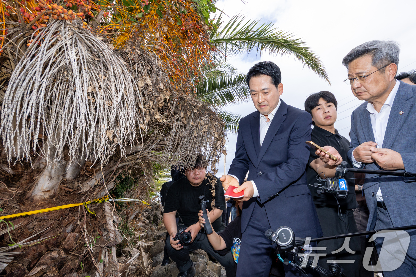 (제주=뉴스1) 안은나 기자 = 장동혁 국민의힘 대표가 28일 제주시 한림읍을 찾아 실종신고 허위 종결 사건 피해자 장 모씨의 시신이 발견된 야자수숲 현장을 살펴보고 있다. 202 …