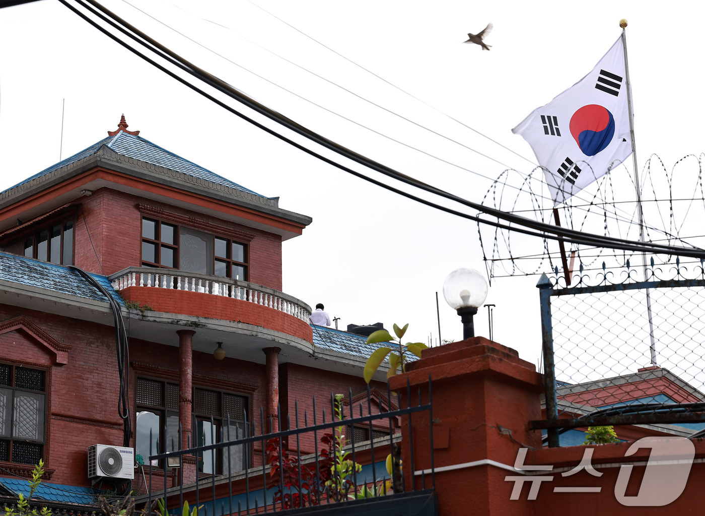 (카트만두=뉴스1) 구윤성 기자 = 28일 네팔 카트만두 주네팔 대한민국 대사관에서 대사관 직원이 통화를 하고 있다. 2026.8.28/뉴스1
