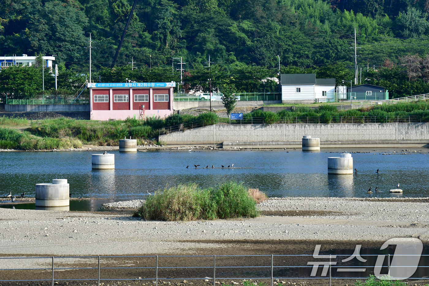 (포항=뉴스1) 최창호 기자 = 3일 오전 여름가뭄이 계속되면서 경북 포항시 남구 연일읍 형산강 상류 일부가 바닥을 드러내고 있다.아침 산책을 나온 시민들은 "7월 초부터 바닥이 …