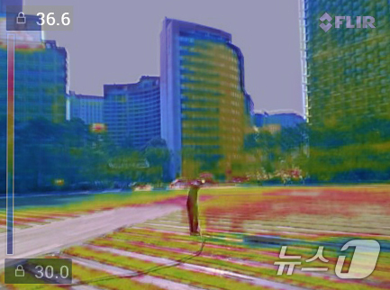 (서울=뉴스1) 구윤성 기자 = 전국에 폭염 특보가 내려진 3일 서울시 관계자가 서울광장 잔디에 물을 뿌리고 있는 장면을 열화상 카메라로 촬영해 레이어 합성했다. 물을 뿌리는 부분 …