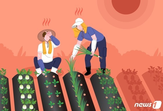 정읍서도 '열사병' 사망자 발생…전북 3번째 온열질환 사망