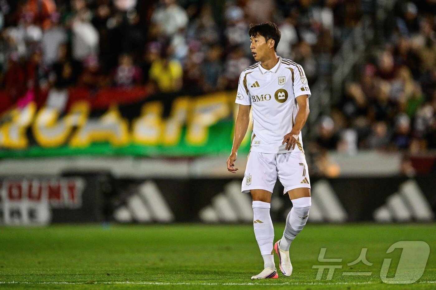 본문 이미지 - LA FC 손흥민 ⓒ AFP=뉴스1