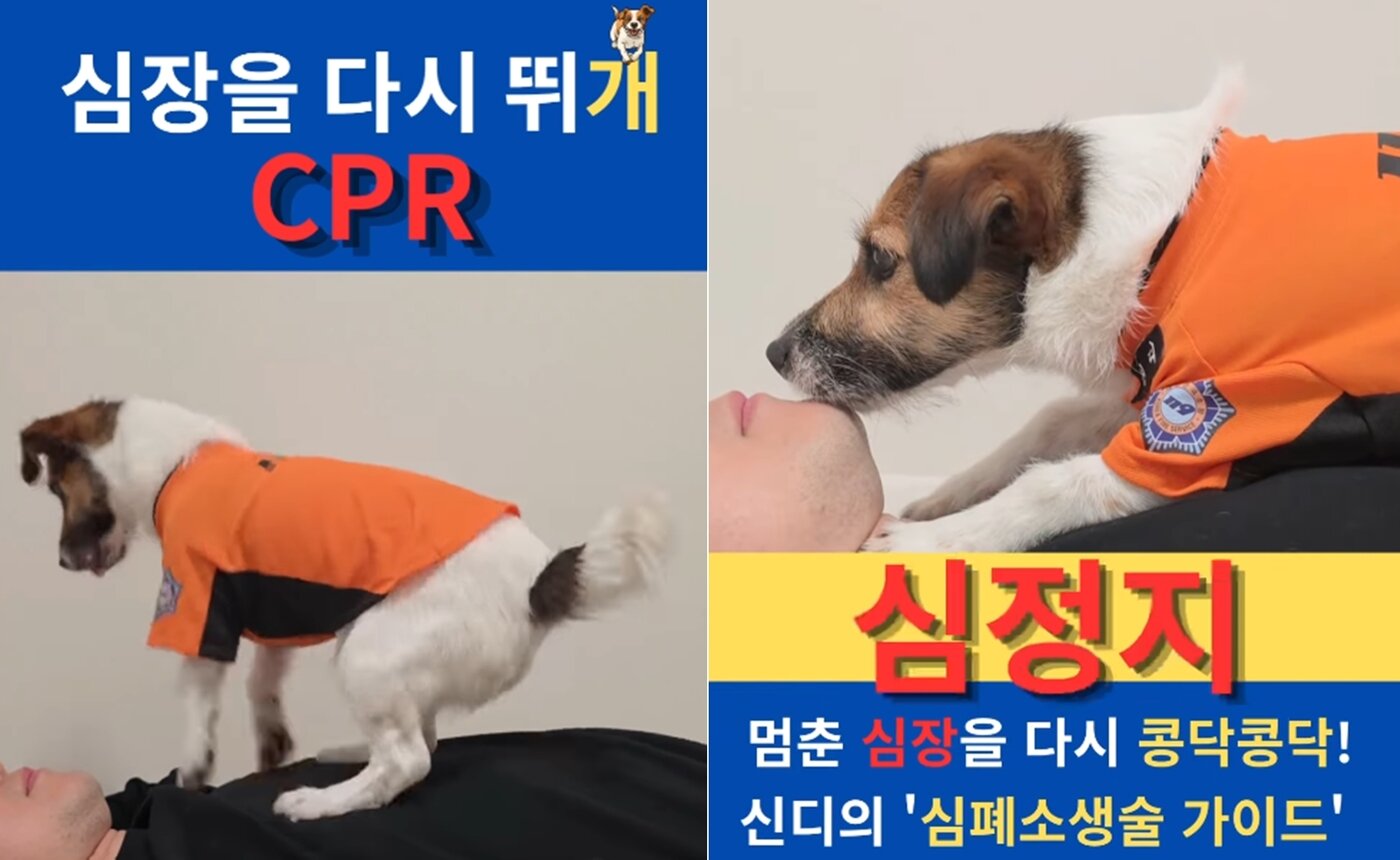 본문 이미지 - 경기소방재난본부 공식 SNS