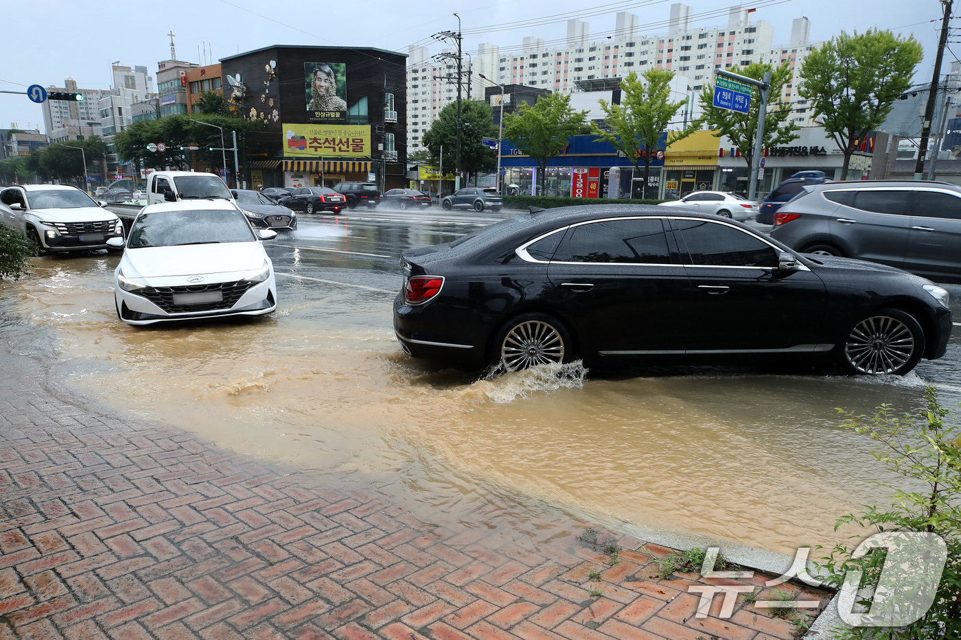 (대구=뉴스1) 공정식 기자 = 30일 오후 대구 수성구 달구벌대로에 천둥번개를 동반한 폭우가 쏟아져 도로 옆 물웅덩이를 지나는 차량이 혼잡을 빚고 있다. 2026.8.30/뉴스1 …