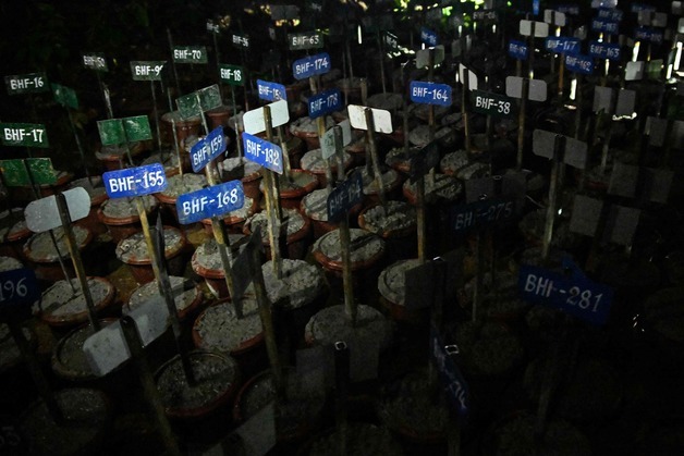 "네팔 홍수에 영안실도 포화…신원미상 시신 집단매장 시작"