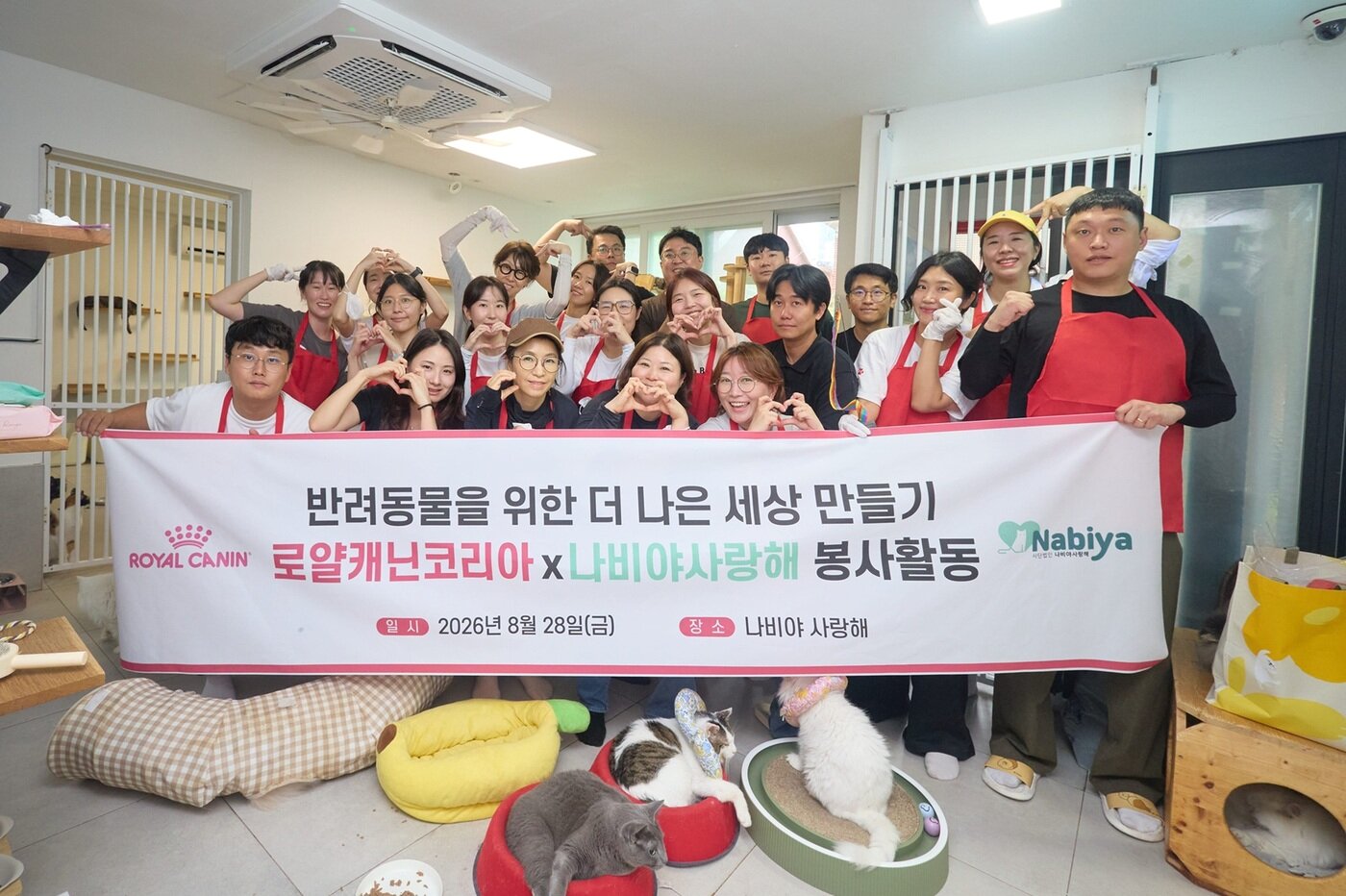 본문 이미지 - 로얄캐닌코리아는 28일 나비야사랑해 보호소에서 봉사활동을 진행했다(로얄캐닌 제공). ⓒ 뉴스1