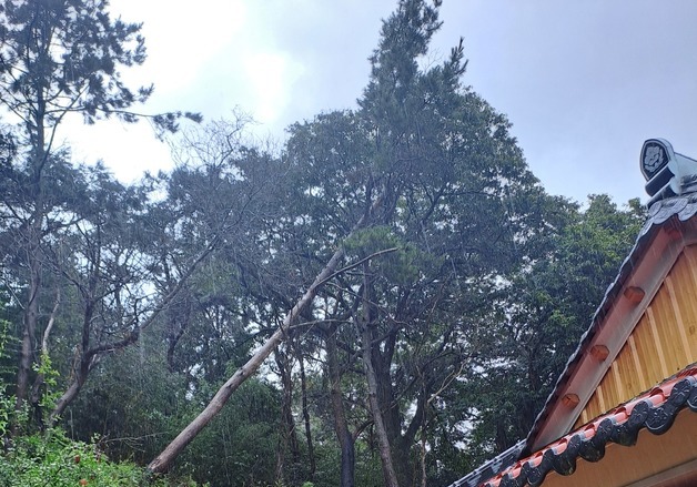 고창 237㎜·부안 215㎜·군산 160.5㎜…전북 6개 시·군 호우경보