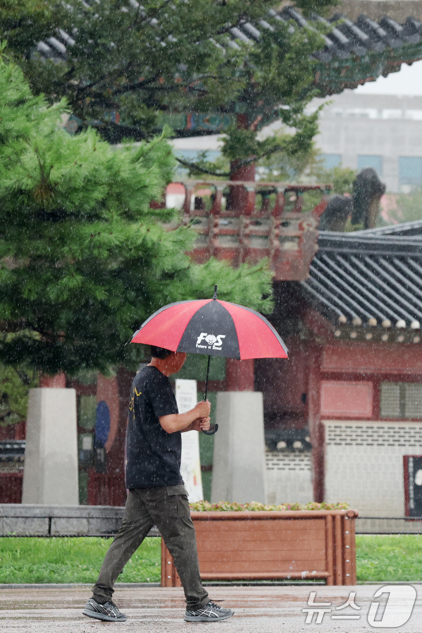 (수원=뉴스1) 김영운 기자 = 전국 대부분 지역에 비가 내린 31일 경기 수원시 팔달구 화성행궁에서 한 시민이 우산을 쓰고 이동하고 있다. 2026.8.31/뉴스1