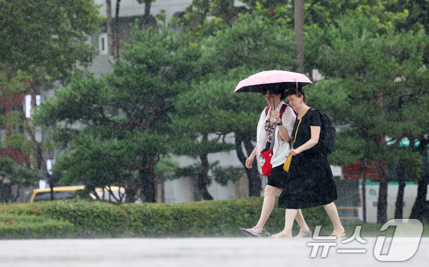 (수원=뉴스1) 김영운 기자 = 전국 대부분 지역에 비가 내린 31일 경기 수원시 팔달구 화성행궁에서 관광객들이 우산을 쓰고 이동하고 있다. 2026.8.31/뉴스1