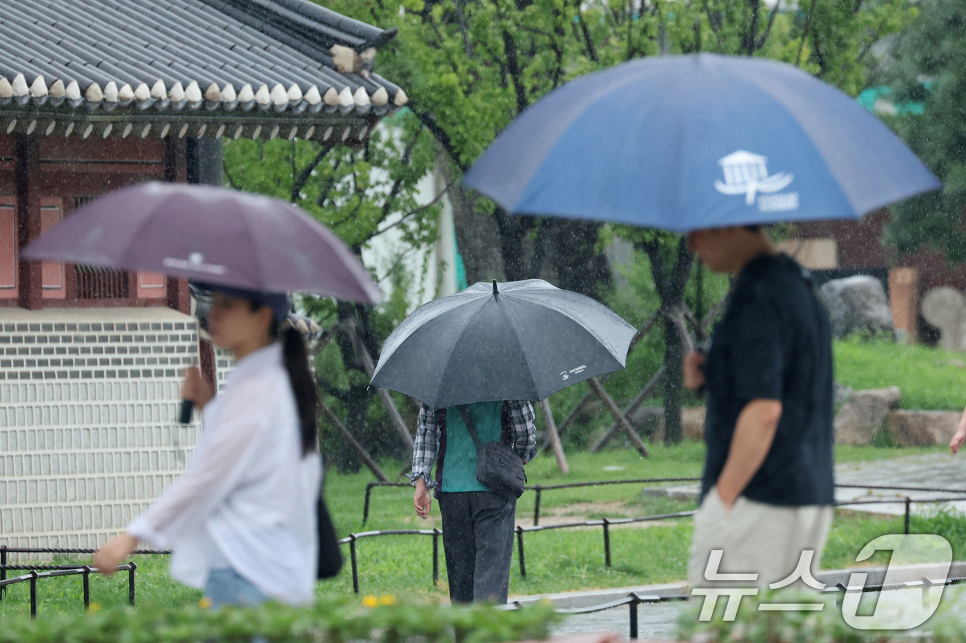 (수원=뉴스1) 김영운 기자 = 전국 대부분 지역에 비가 내린 31일 경기 수원시 팔달구 화성행궁에서 관광객들이 우산을 쓰고 이동하고 있다. 2026.8.31/뉴스1