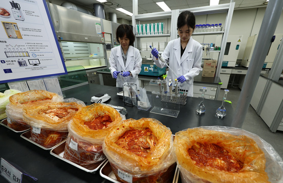 중국산 김치 안정성 검사하는 연구원들