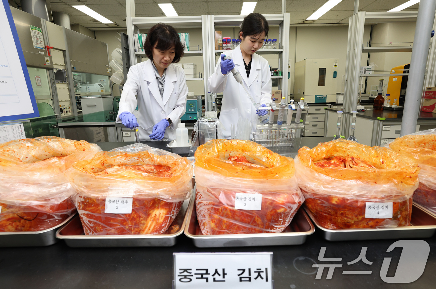 (서울=뉴스1) 김도우 기자 = 31일 서울 서초구 보건환경연구원 실험실에서 연구원들이 중국산 김치 포름알데히드 시험을 하고 있다. (공동취재) 2026.8.31/뉴스1
