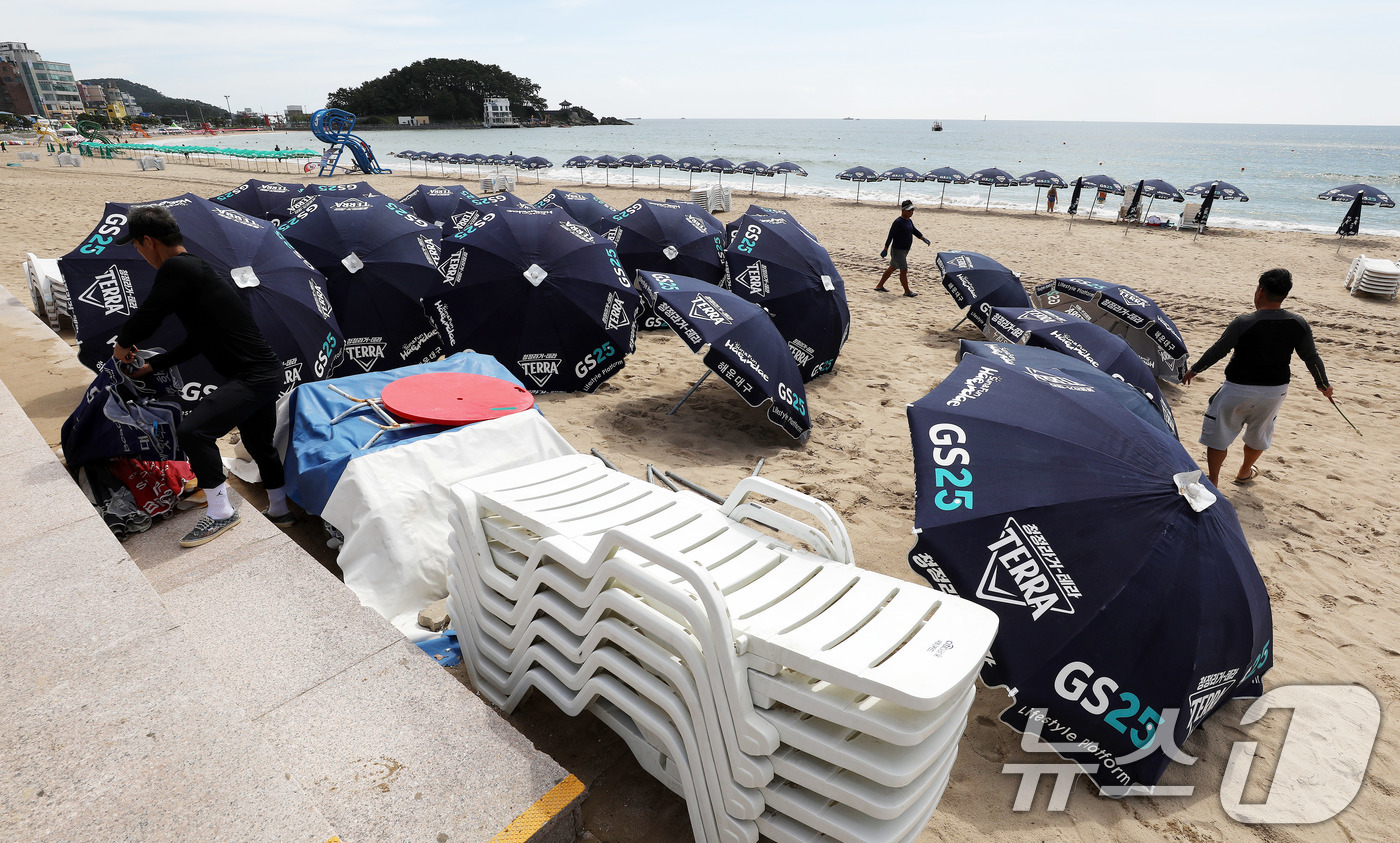 (부산=뉴스1) 윤일지 기자 = 31일 폐장을 앞둔 부산 해운대구 송정해수욕장에서 관계자들이 파라솔 등을 정리하고 있다. 2026.8.31/뉴스1