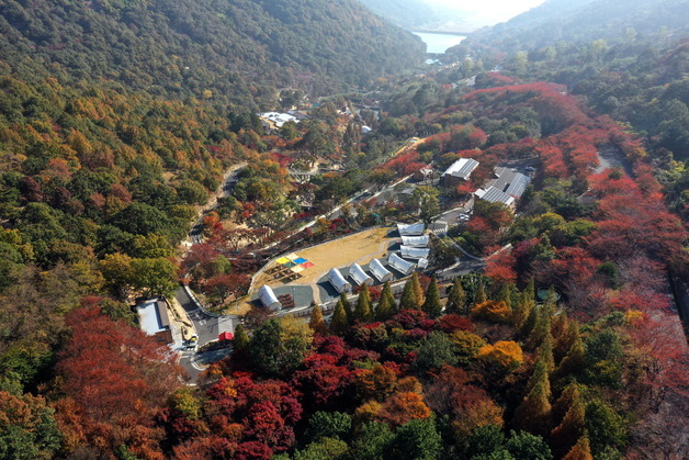 '월아산 숲속의 진주' 방문객 100만 돌파…지방정원 등록 효과