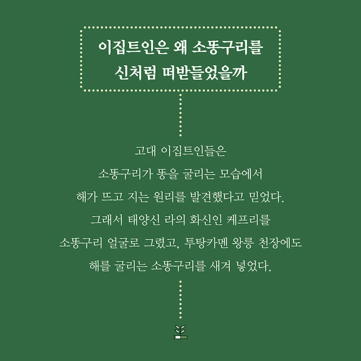 본문 이미지 - '곤충 인문학'은 곤충도감에 머물던 시선을 인간과 곤충이 공존하는 이야기로 넓힌다.