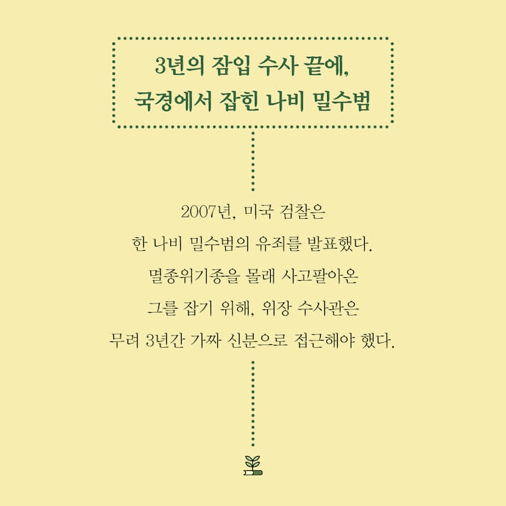 본문 이미지 - '곤충 인문학'은 곤충도감에 머물던 시선을 인간과 곤충이 공존하는 이야기로 넓힌다.