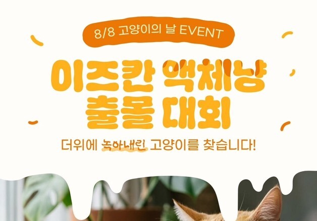 "더위에 녹아내린 액체냥 찾아요"…이즈칸, 고양이의 날 이벤트