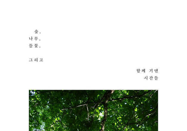 숲을 만난 뒤 문장이 달라졌다…나무와 들꽃에게 배운 삶 이야기