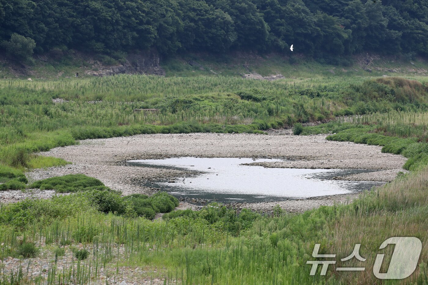 본문 이미지 - 폭염과 가뭄이 계속된 4일 오후 경북 청도군 운문댐 상류가 말라 바닥을 드러내고 있다. 2026.8.4 ⓒ 뉴스1 공정식 기자