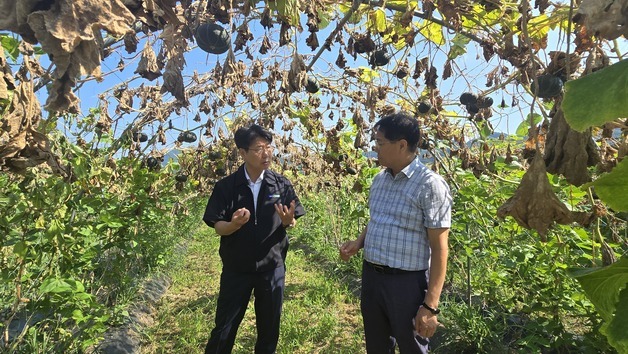 "폭염 속 농가 생명·재산 지킨다"…강원농협, 현장지원 강화